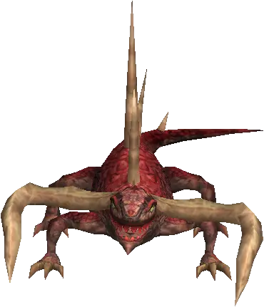 Salamander Elder
