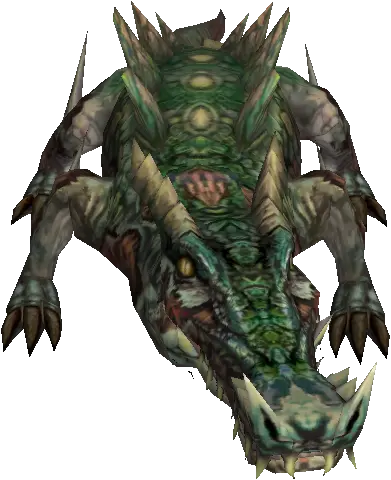 Alligator