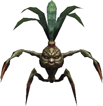 Mandragora Sprout