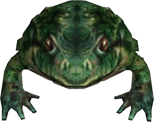Toad Lord