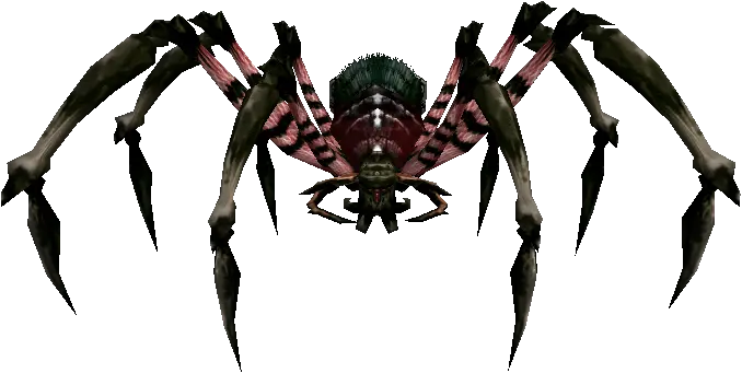Spelunking Spider