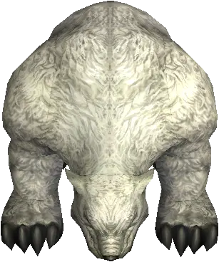 Ursus