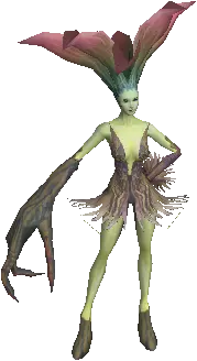 Singing Flower Darkling